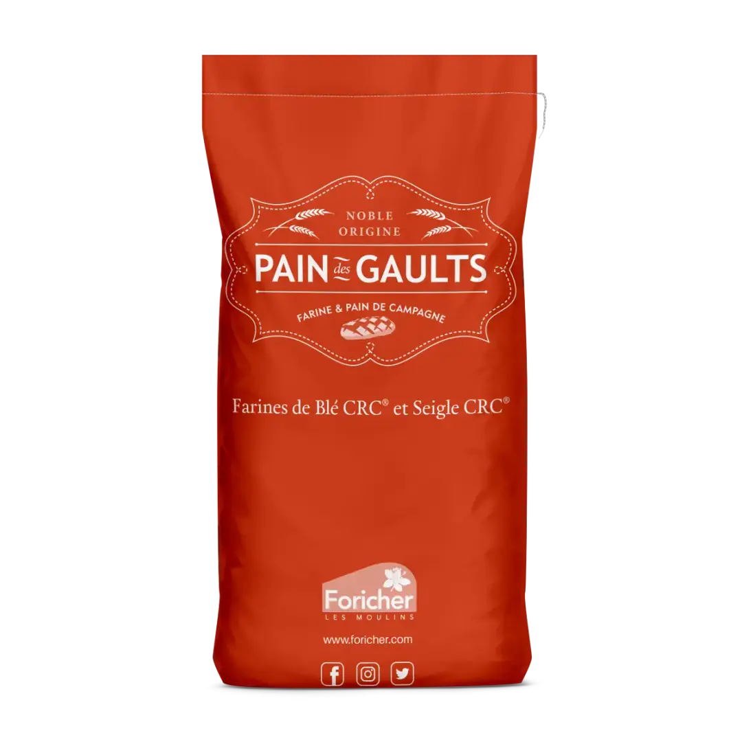 Foricher Pain des Gaults Rustic Bread Flour – 25kg